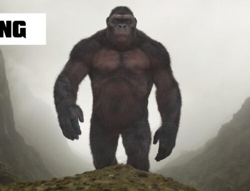 KONG | Creature Animation